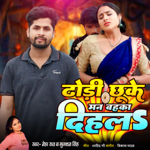 Listen to Dhodi Chuke Man Bahka Dihla (Lokgeet) song with lyrics from Neha Raj