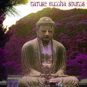 收聽Buddha Meditation的Nature Buddha Sounds歌詞歌曲