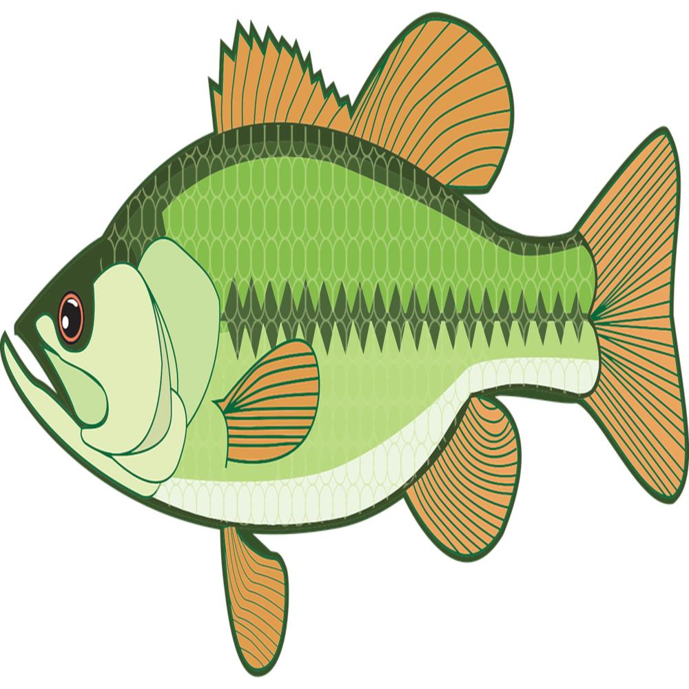 dat baSS tho