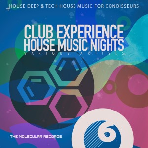 Various Artists的專輯Club Experience: House Music Nights, Vol. 6