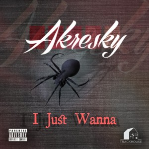 ดาวน์โหลดและฟังเพลง I Just Wanna (Explicit) พร้อมเนื้อเพลงจาก Akresky