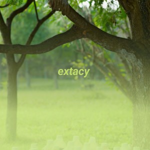 ดาวน์โหลดและฟังเพลง Extacy พร้อมเนื้อเพลงจาก The Fabulous Four