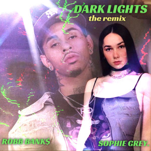 Dark Lights (The Remix) (Explicit) dari Robb Bank$