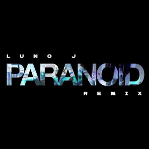 收聽Kevin Spears的Paranoid (Luno J Remix)歌詞歌曲