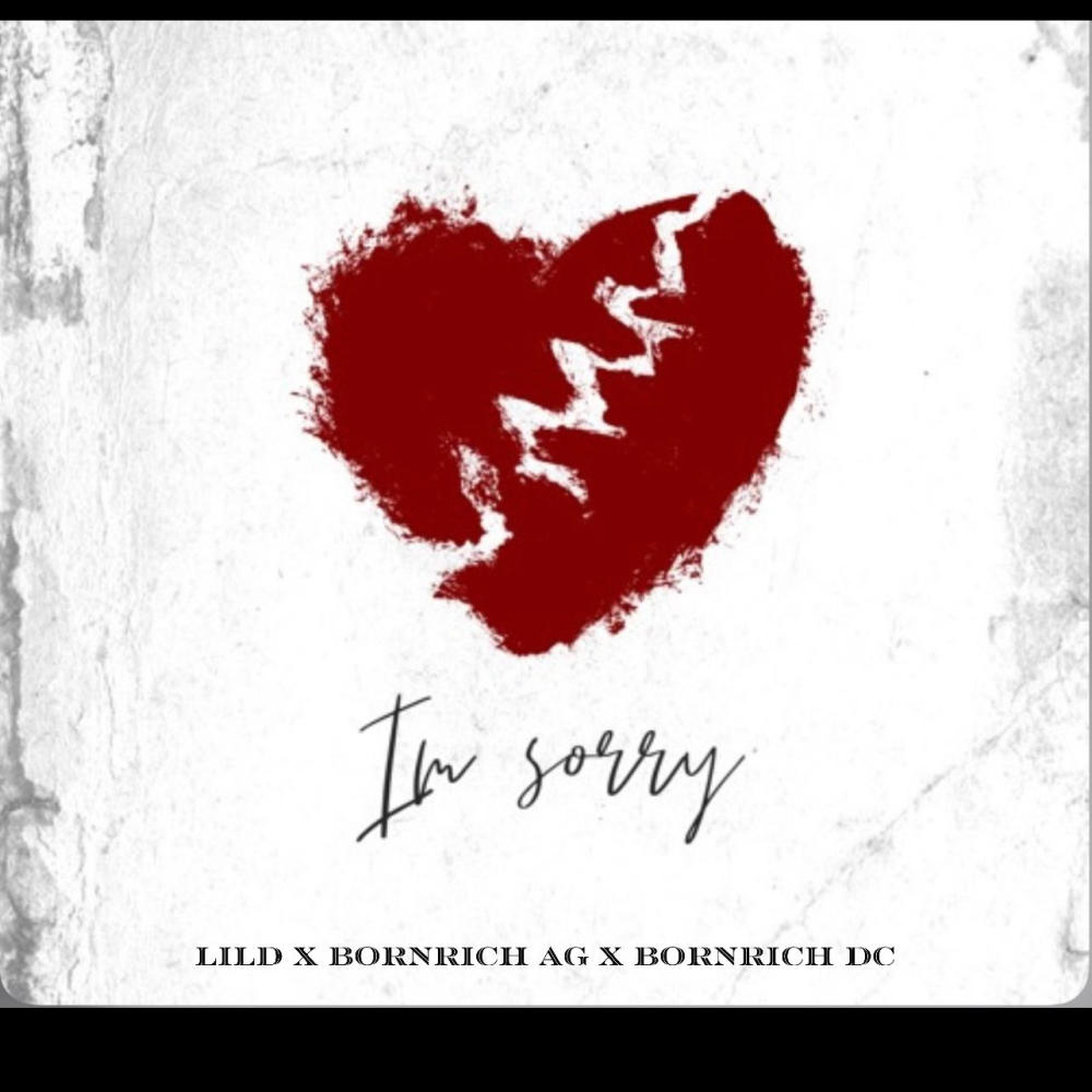 I'm Sorry (feat. BornRich AG & BornRich DC) (Explicit)