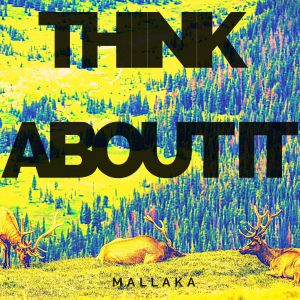 Listen to Think About It song with lyrics from Brisu & Mallaka