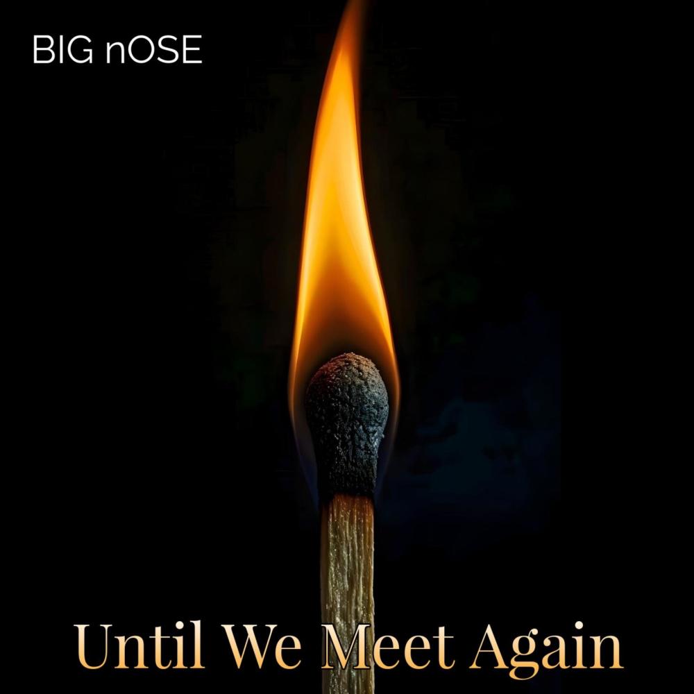 Until We Meet Again