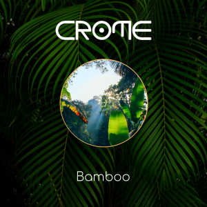 Listen to Bamboo song with lyrics from Crome