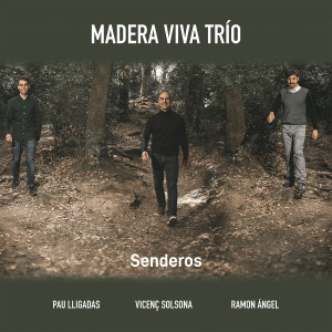收聽Madera Viva Trío的Qué será歌詞歌曲