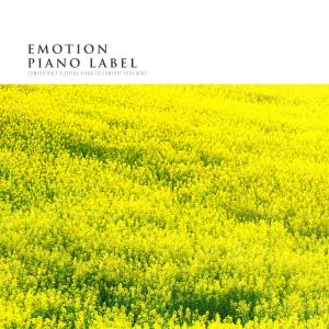 Album Comfortable Sleeping Piano To Comfort Your Mind oleh Various Artists