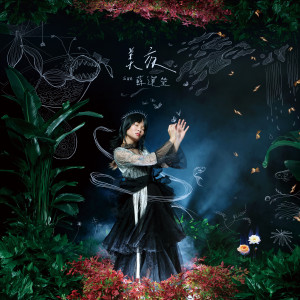 Listen to 美夜 song with lyrics from Sue Su (苏运莹)