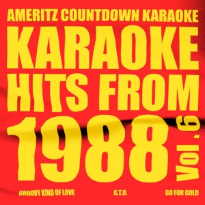 Karaoke Hits from 1988, Vol. 6