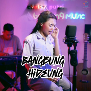 Listen to Bangbung Hideung (Piano) song with lyrics from Chelen Putri