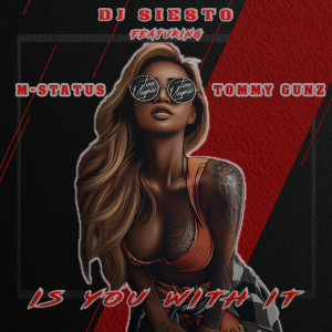 Listen to Is You with It (feat. Tommy Gunz & M-Status) song with lyrics from DJ Siesto
