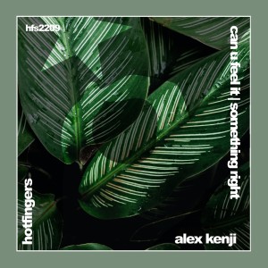 Alex Kenji的专辑Can U Feel It | Something Right