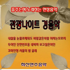 Album 관광 나이트경음악 from 
