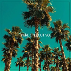 Various Artists的專輯Pure Chillout, Vol. 1