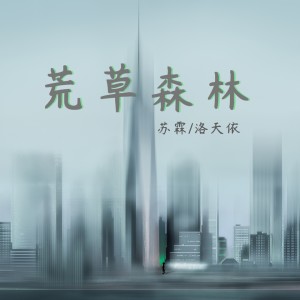 Listen to 荒草森林 (伴奏) song with lyrics from 苏霖