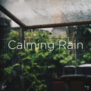 Listen to Relaxing Rain Drops song with lyrics from Rain Sounds