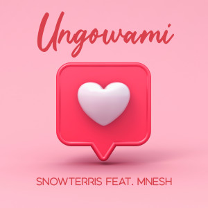 SnowTerris的專輯Ungowami