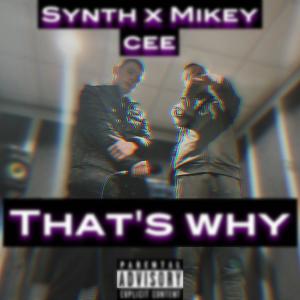 Dengarkan lagu Thats Why (feat. Mikey Cee) (Explicit) nyanyian Synth dengan lirik