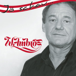 ดาวน์โหลดและฟังเพลง Ka Überraschung (No Suprprises) พร้อมเนื้อเพลงจาก Wolfgang Ambros
