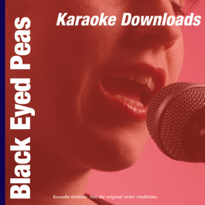 收聽Ameritz的Boom Boom Pow (In The Style Of Black Eyed Peas)歌詞歌曲