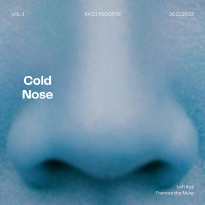Listen to Cold Nose song with lyrics from Frances The Mute
