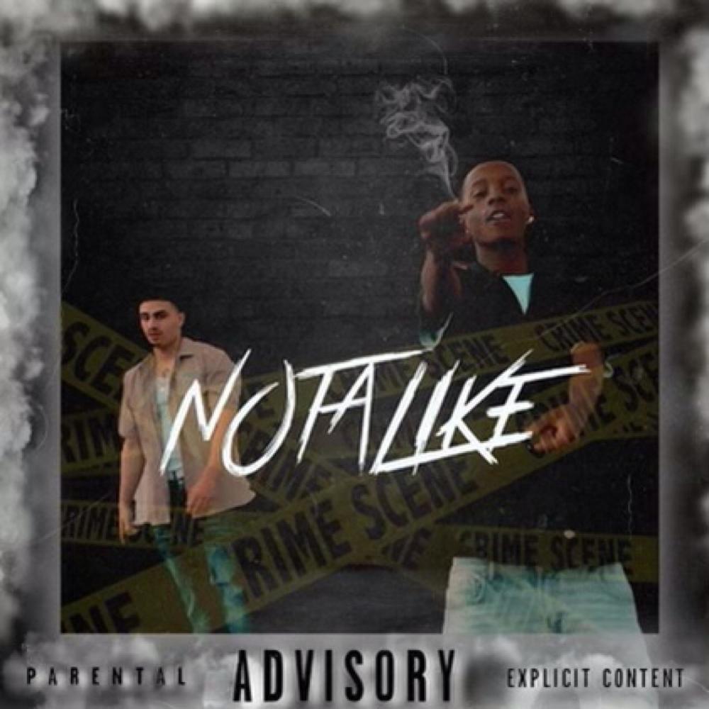 Not Alike (feat. Fadez Loc) (Explicit)