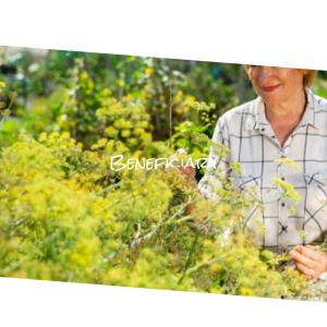 ดาวน์โหลดและฟังเพลง Intensified Have พร้อมเนื้อเพลงจาก Koey Hares