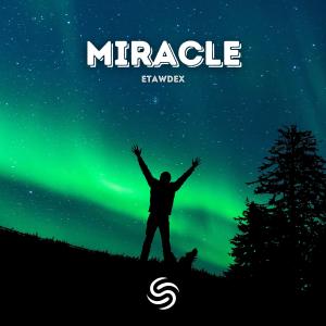 Etawdex的专辑Miracle