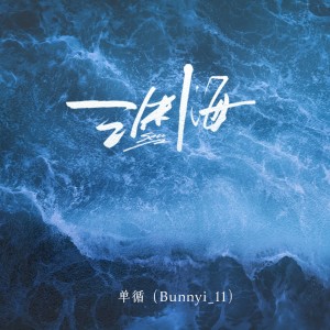 Album 渊海 from 单循