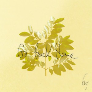 收听FKJ的Go Back Home歌词歌曲