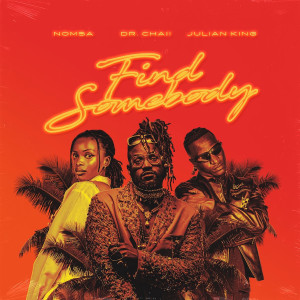Dr. Chaii的專輯Find Somebody
