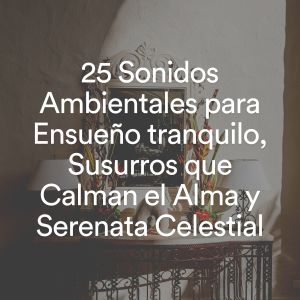 Album 25 Sonidos Ambientales para Ensueño tranquilo, Susurros que Calman el Alma y Serenata Celestial from Various Artists