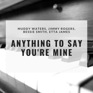 Muddy Waters的专辑Anything to Say You're Mine