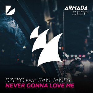 Listen to Never Gonna Love Me song with lyrics from Dzeko