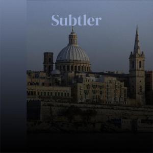 Various Artists的專輯Subtler