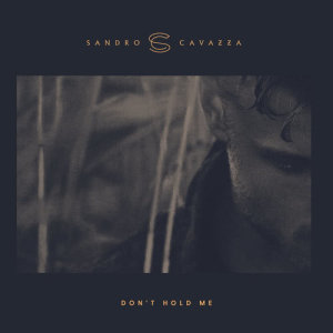 ดาวน์โหลดและฟังเพลง Don't Hold Me พร้อมเนื้อเพลงจาก Sandro Cavazza