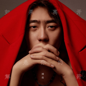 田壮的专辑如果离开是你的解药