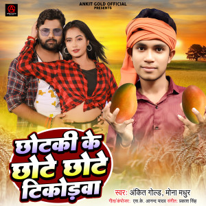 Listen to Chhotaki Ke Chhote Chote Tikodawa song with lyrics from SK Anand Yadav