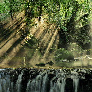 Listen to Meditation - Calm Presence song with lyrics from Meditation Academy