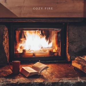Fire Samplers的专辑Cozy Fire