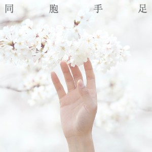 Listen to 同胞手足 song with lyrics from 青桔音乐