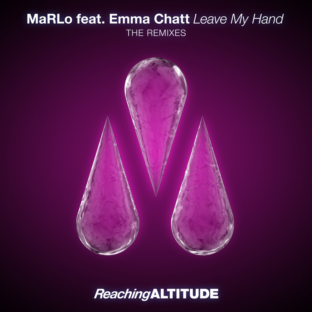 Leave My Hand (ReOrder Remix)