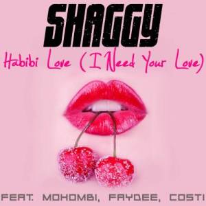 收聽Shaggy的Habibi Love (I Need Your Love)歌詞歌曲