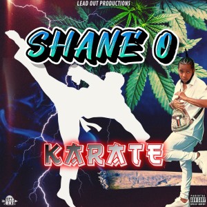 Listen to Karate (Explicit) song with lyrics from Shane O