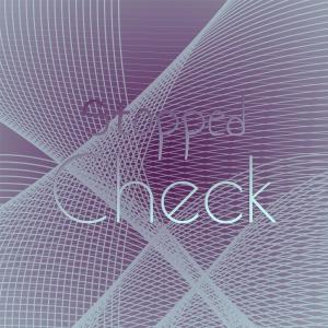 Listen to Daunce Spinster song with lyrics from Leart Redg