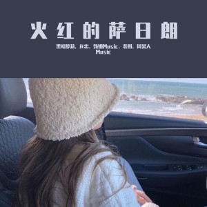 收聽黑暗蘿莉的踏山河（DJ版）歌詞歌曲