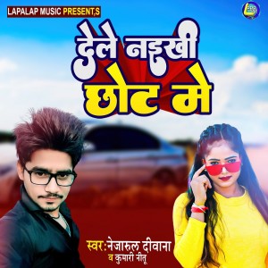Listen to Dele Naikhi Chhot Me song with lyrics from Nejarul Diwana
